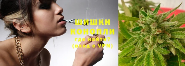 дживик Сосновоборск