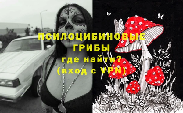 прущие грибы Сосновка