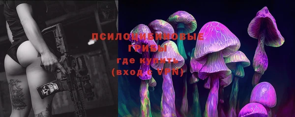 прущие грибы Сосновка