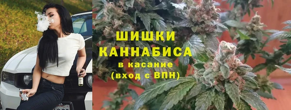 гидропоника Белокуриха